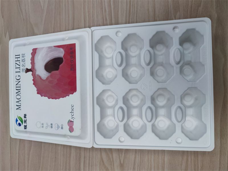江门纸托2